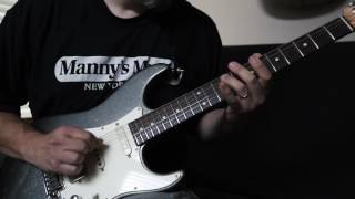 Friedman Smallbox Wildwood Edition  Anderson Strat [upl. by Ardnuyek218]