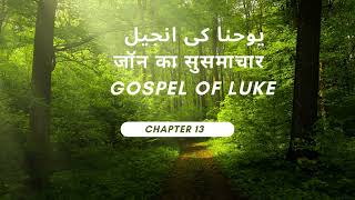 Ch 13 John in Urdu یُوحنّا کِی اِنجیل YohanaYouhanakiInjeel Urdu Bible Hindi Bible AudioBible [upl. by Phyllys685]