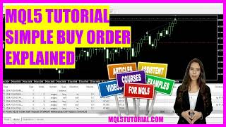 MQL5 TUTORIAL  SIMPLE BUY ORDER EXPLAINED in 5 minutes [upl. by Rotman924]