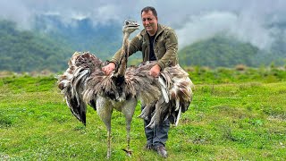 Cooking The Best Unimaginable Recipes In The Mountain Village Of Azerbaijan [upl. by Jennilee344]