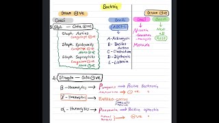 Bacterial classification Mnemonics [upl. by Katz]