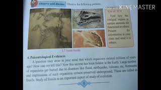 Sci2 16 paleontological evidenceconnecting linkembryological evidence [upl. by Esiole]