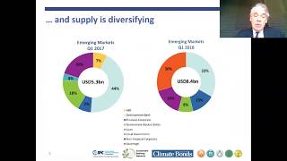 IFC Sustainability Webinar Series Creating Green Bond Markets in Africa [upl. by Karlik]