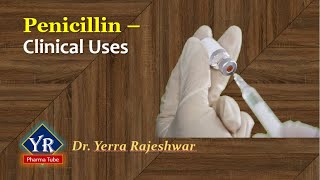 Penicillin  Clinical Uses  Clinical uses of Penicillins  YR Pharma Tube  Dr Yerra Rajeshwar [upl. by Vahe835]