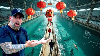 TOUR of A MASSIVE FISH FARM in CHINA  WE NEED some of these FISH [upl. by Ynattib]