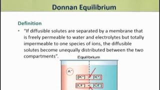 Donnan membrane equilibrium malayalam  easy definition and explanation  malayalam [upl. by Enra]