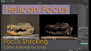 Focus stacking con Helicon Focus [upl. by Drida]