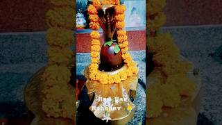 🕉️Har Har Mahadev🙏आशुतोष शशाँक शेखर shvajisankarnew bholenath shivsaktisongnuw shva sorts🕉️🙏 [upl. by Gerge]