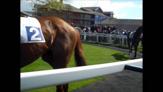 A Day At Leicester Racecourse  Paul Coleman Horse Racing Experts Shows You How To Make Money [upl. by Zoes671]