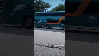 Viagens rio de janeiro viagem minhavidaeumaviagem paixaoporonibus [upl. by Mlohsihc]