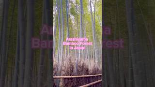 Arashiyama Bamboo Forest in Japan [upl. by Sulakcin96]