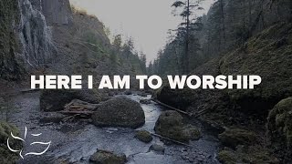 Here I Am To Worship  Maranatha Music Lyric Video [upl. by Yllop]