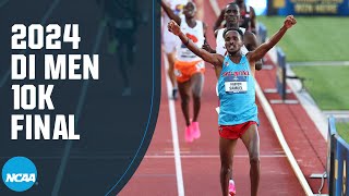 Mens 10K finals  2024 NCAA outdoor track and field championships [upl. by Mendelsohn]