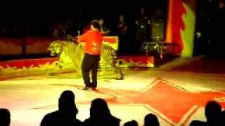 circo atayde hermanos en tepic nay domador de tigres de vengala [upl. by Sucy]