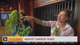 Plant Lady 10am Garden Tasks For August [upl. by Saerdna]