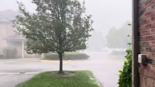 Storm Starts to Get Heavy in Mississauga Ontario onstorm [upl. by Melgar]