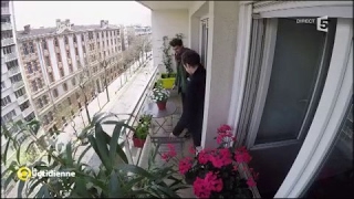 300 euros pour végétaliser son balcon  on a relevé le défi   La Quotidienne [upl. by Notirb467]