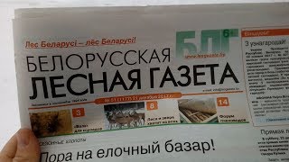 Читаем Белорусскую лесную газету [upl. by Hoo]