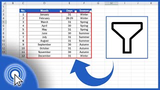 How to Create Filter in Excel [upl. by Shinberg]