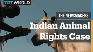 Human Rights for Animals in India [upl. by Sperry]