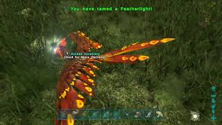 Ark Survival Evolved  Valguero  Season 1 Ep18  Taming A Featherlight [upl. by Krishna]