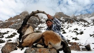 bezoar ibex hunting Gursel Cataltepe Recep Ecer [upl. by Alegre]