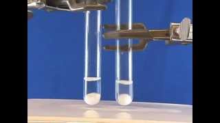 Synthesis of CdS Nanoparticles [upl. by Rog683]