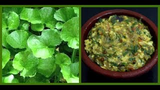 வல்லாரை கீரை கூட்டு செய்வது எப்படி  How to make Brahmi Leaves Kootu  South Indian Recipe [upl. by Llerret216]