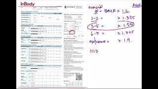 InBody 570 Scan to Determine How Many Calories to Eat [upl. by Lovering]