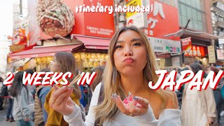 How I Spent 14 Days in Japan 🇯🇵 eating vintage shopping Disneyland etc [upl. by Kaine]