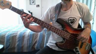 Norma Tanega  Youre Dead bass cover [upl. by Eniaral884]