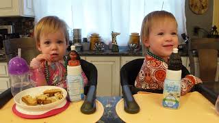 Twins try Irish soda bread [upl. by Kiehl68]