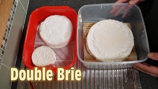 How to Make Double Brie Cheese at Home [upl. by Mairem767]