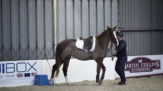 Horse refusing to stand at mounting block meets Richard Maxwell  Your Horse [upl. by Aniratak]