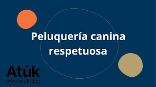 Peluquería canina respuetuosa [upl. by Bokaj967]