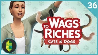 Wags to Riches  Part 36 Sims 4 Cats amp Dogs [upl. by Hajan]