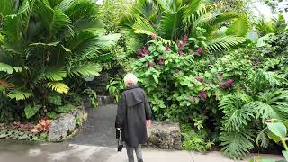 THE LEAF AT ASSINIBOINE PARK IN WINNIPEG [upl. by Gnik]