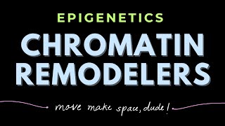 Discovery of Histone Chaperones  Chromatin remodeling complexes  Epigenetics  GATECSIRNET [upl. by Assirt]