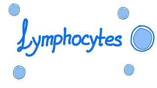 Lymphocytes  Your Specialized Immunity  White Blood Cells [upl. by Yrocaj]