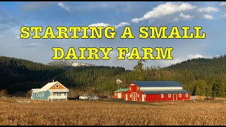 Starting a Small Dairy Farm Considerations and thoughts [upl. by Aplihs]