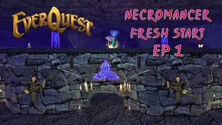 Project 1999 Green Server  Fresh Start Dark Elf Necromancer ep 1 [upl. by Sawyer3]