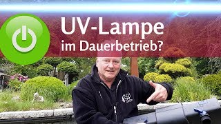 Muss die UVLampe immer laufen Schwebealgen im Teich kontrolliert bekämpfen [upl. by Radford]