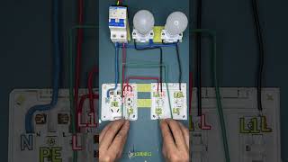 接线小技巧 电工知识分享 插座正确接线法 [upl. by Nnaecyoj]