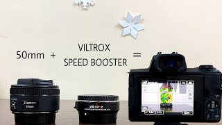 Viltrox Speed Booster  Canon 50mm Lens  Canon M50  Video Sample [upl. by Zeph]