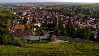 Ribeauvillé  le bonheur est au coeur du vignoble alsacien [upl. by Eduino]