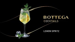 Bottega Cocktails BOTTEGA SPRITZ ita [upl. by Bibby]