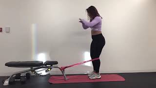 Sagittal Banded Reverse Lunge [upl. by Dell]