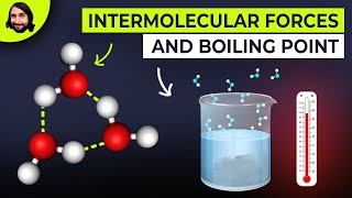 Intermolecular Forces and Boiling Points [upl. by Isadore]