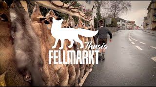 Fellmarkt in Thusis 2024 [upl. by Adidnac]