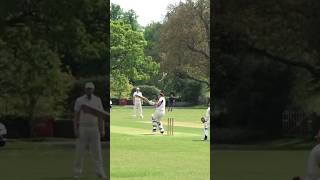 CRICKET AT GRITTLETON THIS HAPPENS IF YOU BOWL SHORT AT GRITTLETON 🏏🏏🏏 absports1 abadventures [upl. by Calli585]